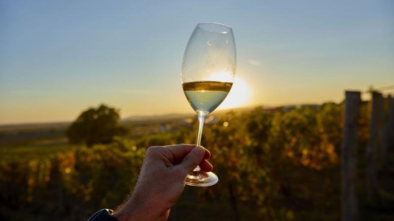 Mapa mundial del vino se redibuja en 2025