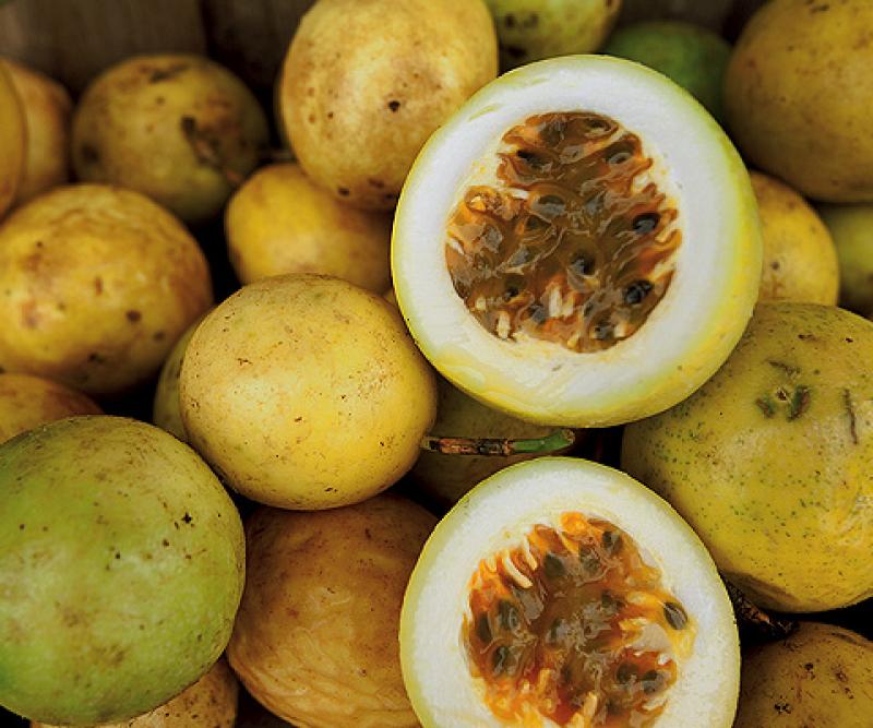 MARACUYÁ: EXPORTACIONES BATEN RÉCORD EN PRIMER CUATRIMESTRE