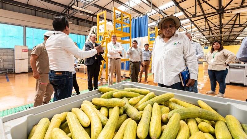 Más de 1.000 trabajadores de la agroindustria en Ica son beneficiados con un modelo de gestión sostenible