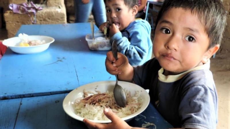 Más de 17 millones de peruanos enfrentan inseguridad alimentaria y aumentan índices de desnutrición y anemia infantil