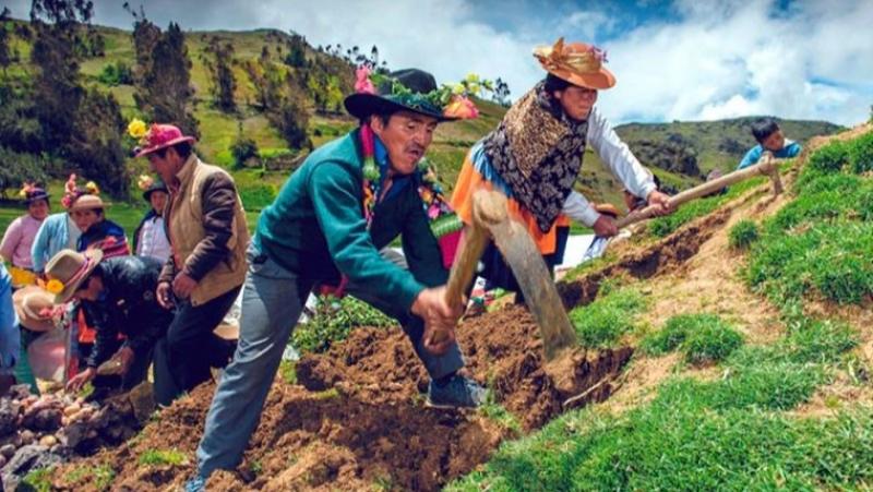 Más de 2 millones de agricultores conquistan el mundo con productos de calidad