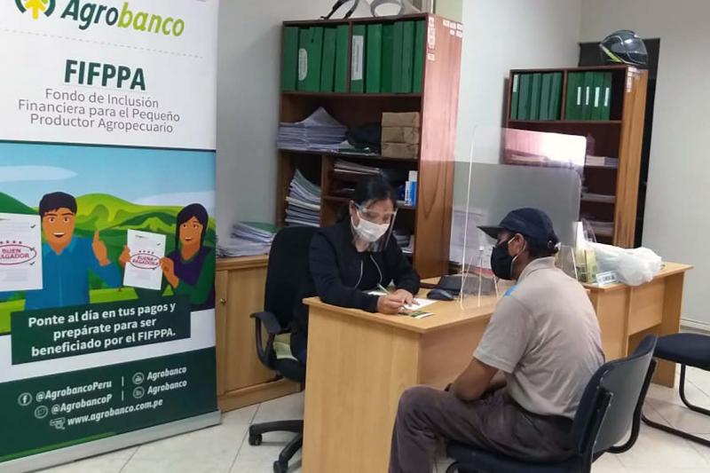 Más de 286 mil agricultores accedieron a créditos de Agrobanco en la última década