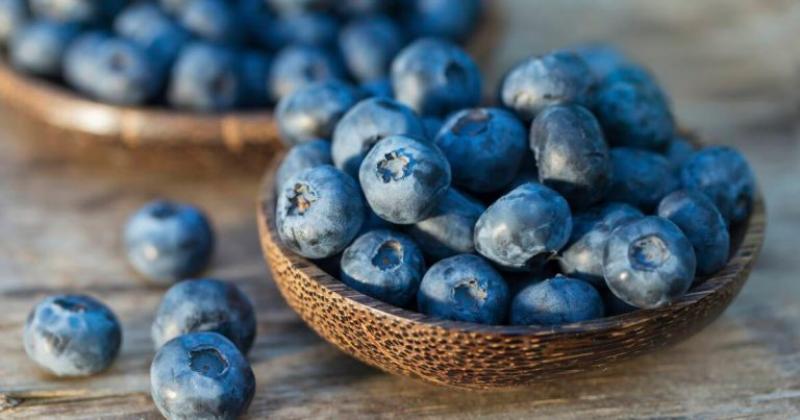 Más de nueve variedades concentran el 80% de los envíos de arándanos de Perú en la campaña actual