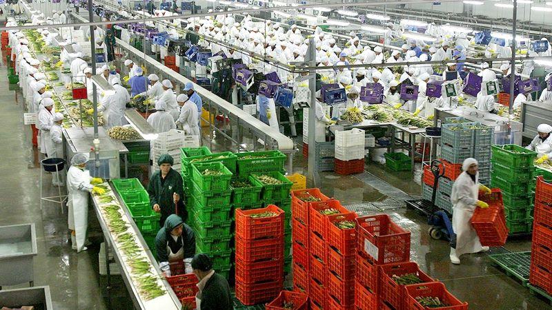 MEF alerta que propuesta de nueva ley agraria solo beneficiaría a reducido grupo de empresas e impactaría negativamente en el fisco