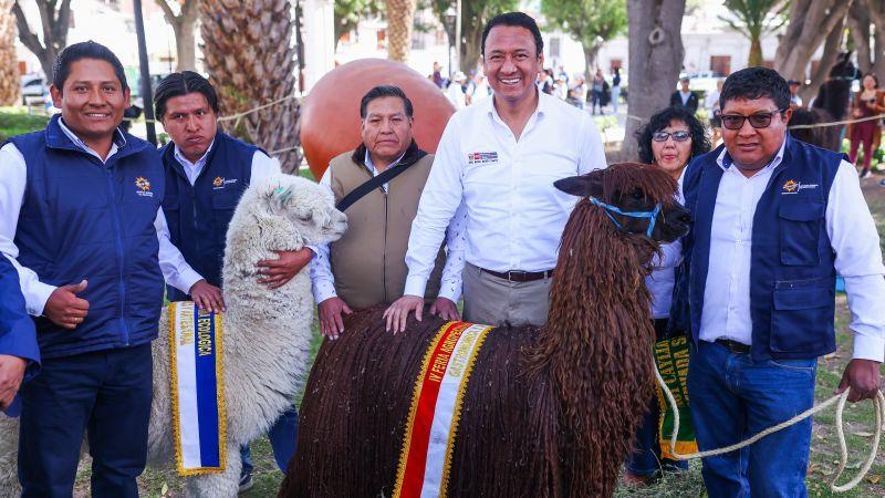 MIDAGRI: Gobierno creará el Consejo Nacional de Camélidos Sudamericanos