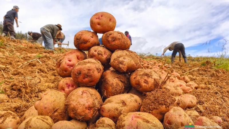 Midagri: Producción nacional agropecuaria cae -14.2% en abril de 2023