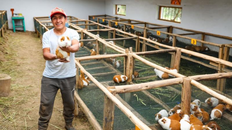 Midis prevé invertir este año más de S/ 224 millones para promover las capacidades productivas