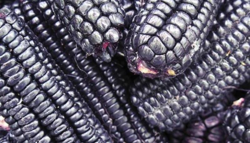 Minagri pide seguir buenas prácticas de almacenamiento para evitar presencia de contaminantes en alimentos