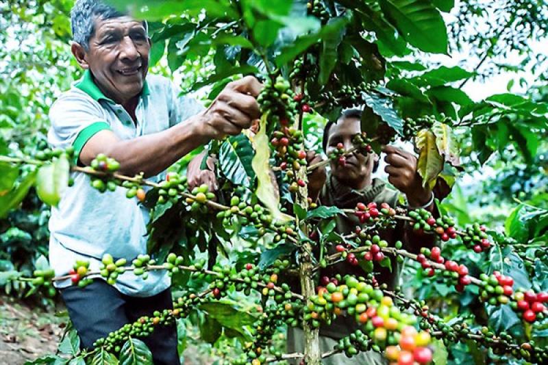 Minam financia eco y bionegocios