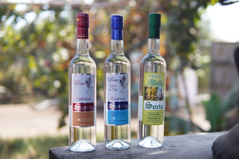 Mincetur impulsará exportación de pisco de los pequeños y medianos productores vitivinícolas de Ica