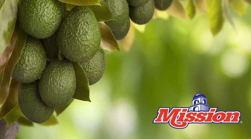 Mission Produce aumentó sus ingresos 29% en el primer trimestre de 2025