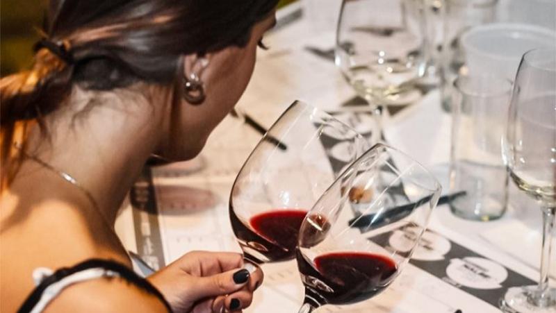 Nueva Ley del Vino exige trazabilidad y sanciona la adulteración
