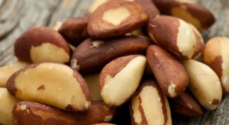 Nuez de Brasil procedente de Perú llegó a 49 mercados en 2024