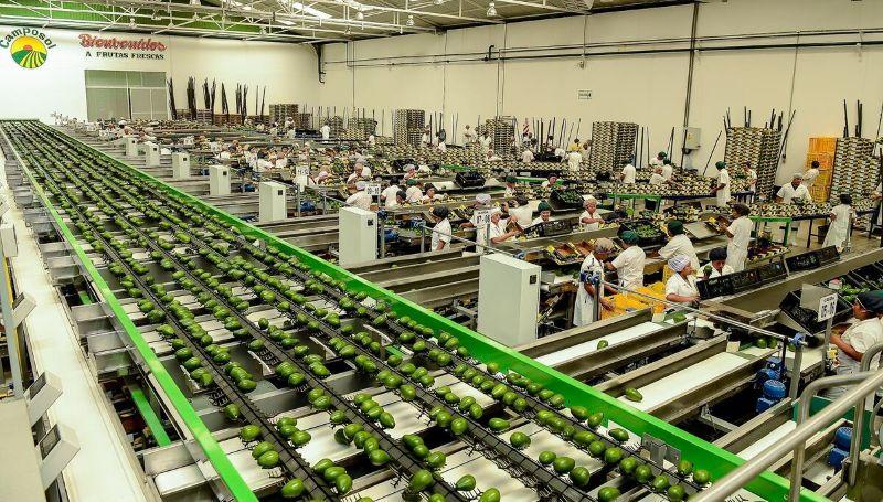 Oferta agroexportable de Perú llegó a 145 mercados en 2024, cuatro más respecto al año previo