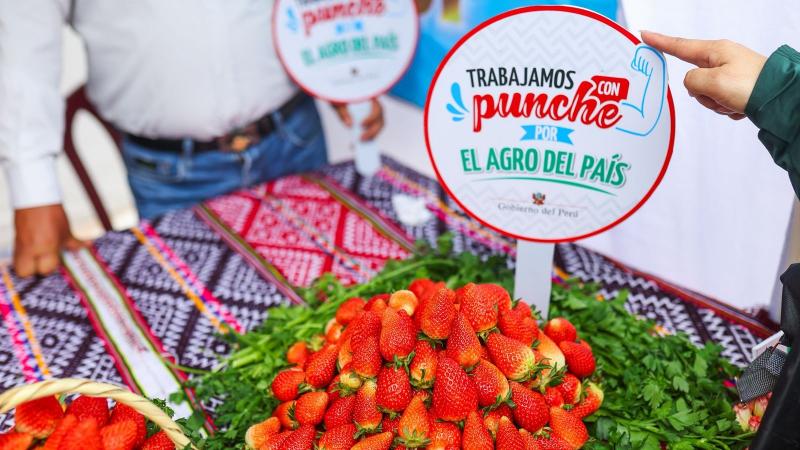 Oficial: Brasil abre su mercado para las fresas peruanas