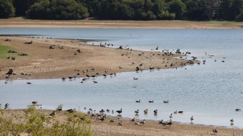 ONU advierte que el mundo "va en mala dirección" en cuanto a cambio climático