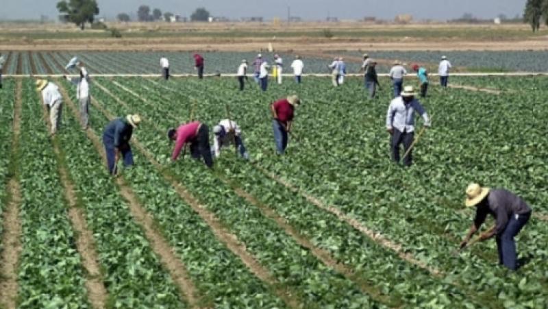 OPINAN QUE LA COMISIÓN AGRARIA DEBERÍA APROXIMARSE A PRODUCTORES