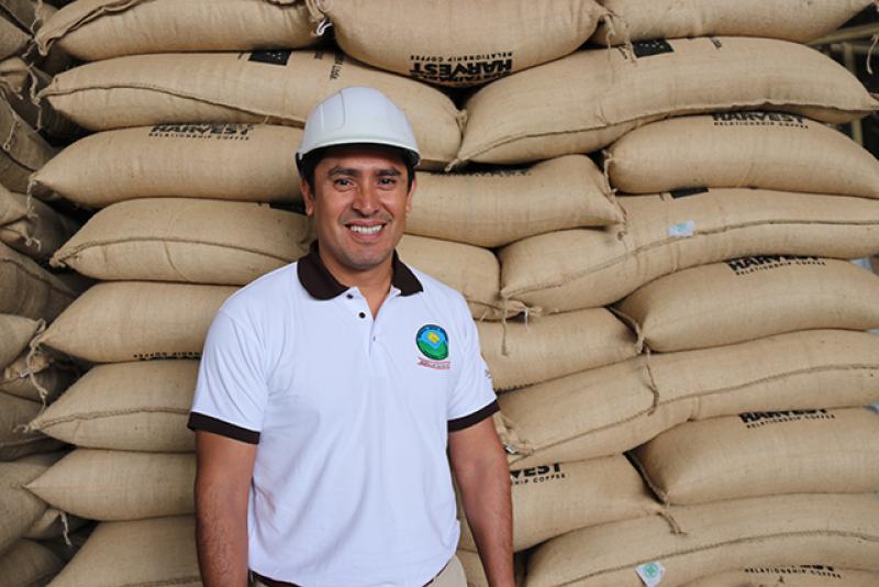 Pequeños cafetaleros orgánicos de Huánuco exportan a Canadá y Estados Unidos