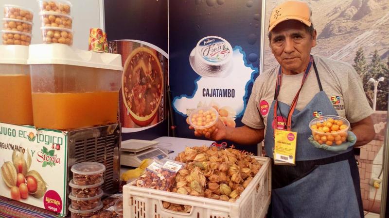 Pequeños productores de Cajatambo siembran 80 hectáreas de berries