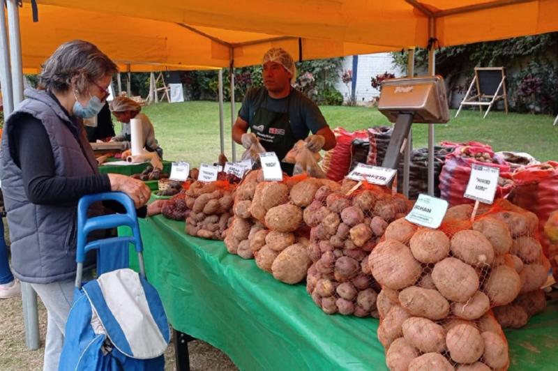 Pequeños productores logran ventas por S/ 7.471.678 en 520 mercados itinerantes “De la Chacra a la Olla”