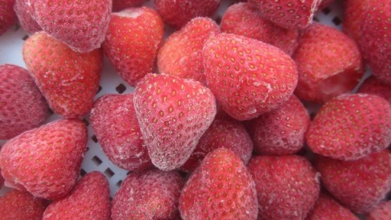 Perú apunta a convertirse en el cuarto  proveedor mundial de fresas congeladas dentro de cinco años