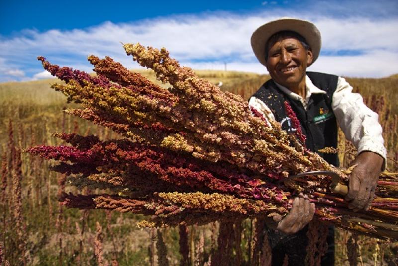 Perú consolida exportaciones en el mercado chino