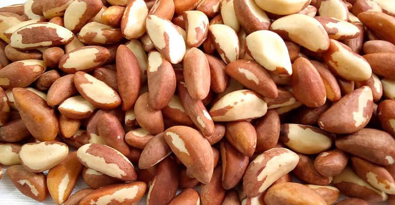 Perú envió 5.360 toneladas de nueces de Brasil por US$ 38 millones en 2022, mostrando un aumento de +5% en volumen, pero una caída de -16% en valor, respecto al 2021