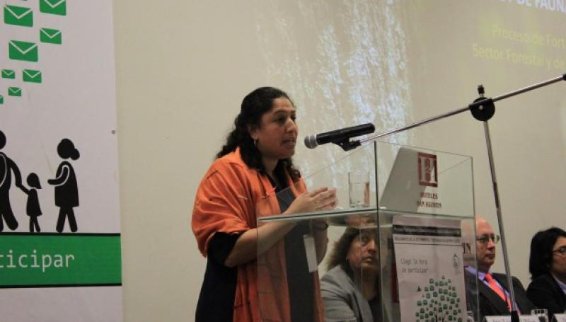 PERÚ: EXISTEN 10 MILLONES DE HAS PARA REFORESTAR 