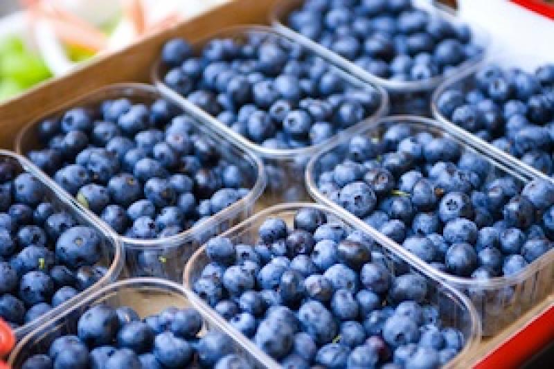 PERÚ EXPORTARÍA 6 MIL TN DE ARÁNDANOS ESTE AÑO