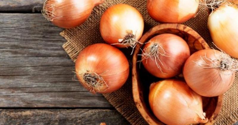 Perú exportó 123.319 toneladas de cebolla por US$ 42 millones, mostrando una contracción de 11% en volumen y 7% en valor