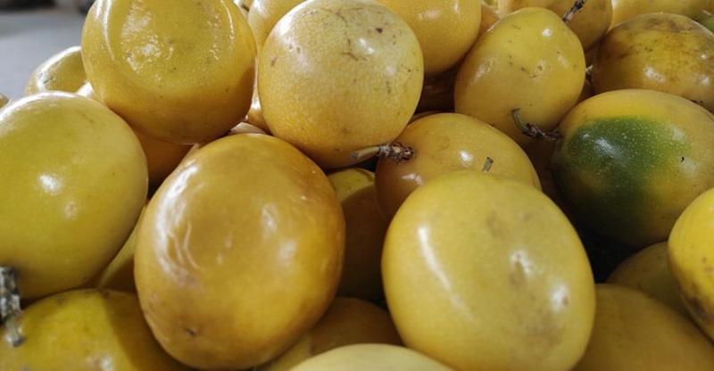 Perú exportó 17.479 toneladas de maracuyá por US$ 59.8 millones en 2024