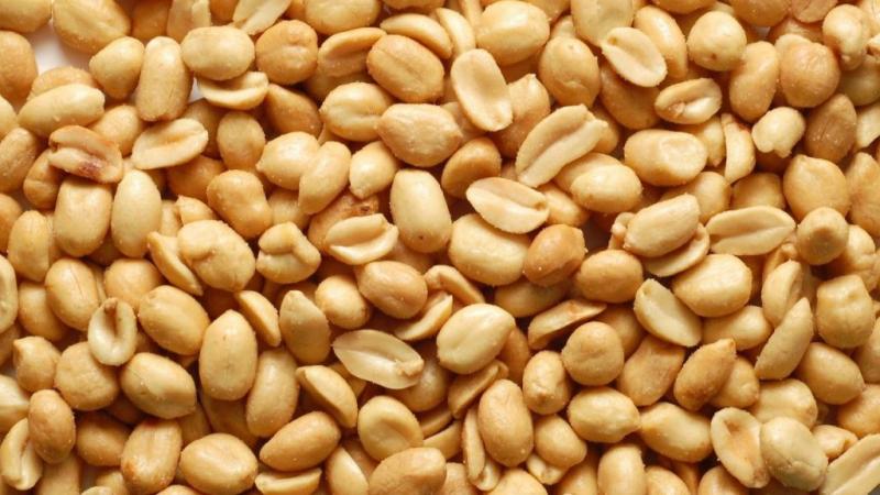 Perú exportó 2.538 toneladas de maní en grano sin cáscara convencional por US$ 2.2 millones en 2024