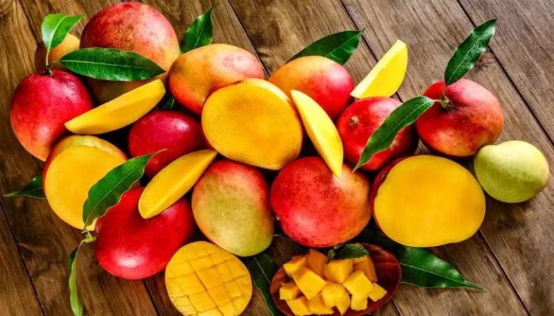 Perú exportó 333.905 toneladas de mango por US$ 194.9 millones en 2024, registrando una disminución de -4% en volumen y -27% en valor