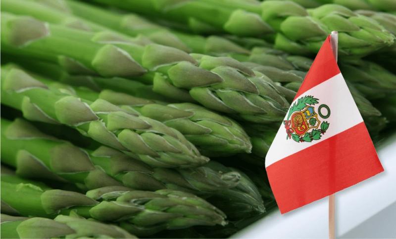 Perú exportó 39.436 toneladas de espárragos por US$ 126 millones entre enero y mayo de 2025