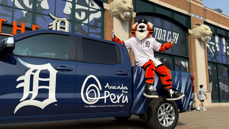 Perú fortalece y amplía su presencia como exportador de paltas en Estados Unidos