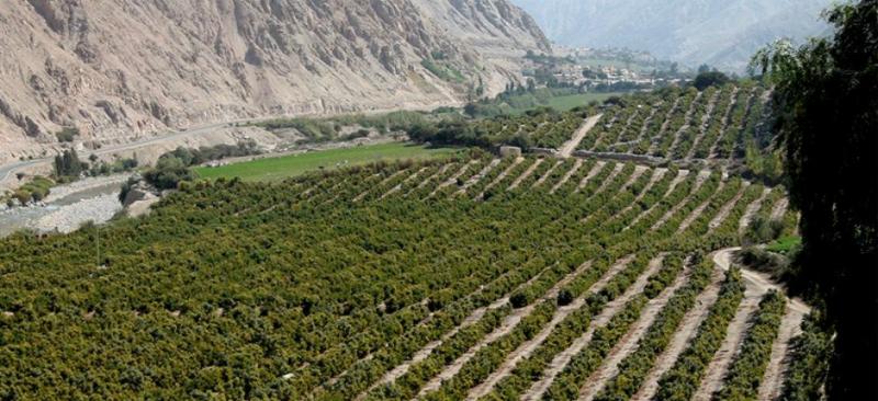 Perú, jalado en el 2023: Qué hacer para no repetirlo