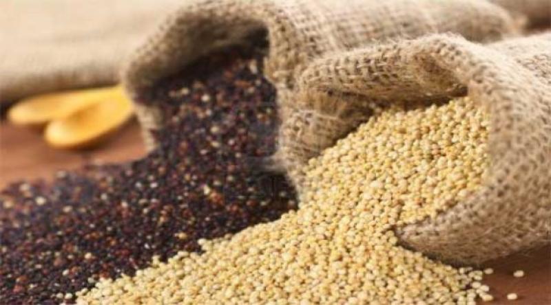 PERÚ PODRÍA PERDER NEGOCIO DE QUINUA SI NO IMPULSA VALOR AGREGADO A PRODUCTOS