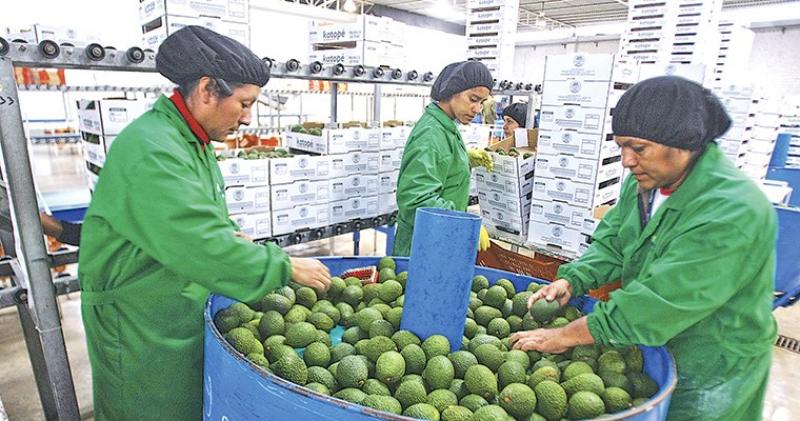 Perú: sectores exportación y turismo generaron 5.5 millones de empleos en 2023