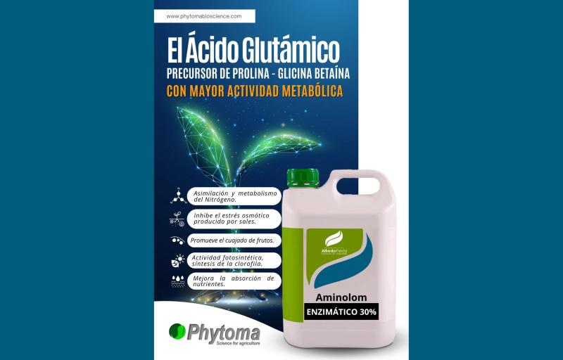 Phytoma Latam y el lanzamiento del AMINOLOM ENZIMÁTICO una herramienta  que revolucionó el mercado de Bioestimulacion en la Agricultura del Perú.