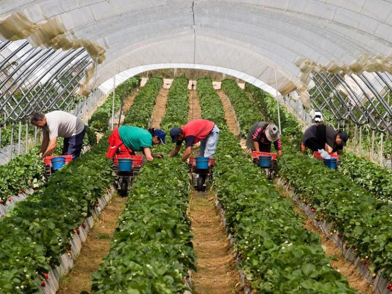 Piura: Proyecto AGRISECH será presentado este 8 de mayo en Sechura