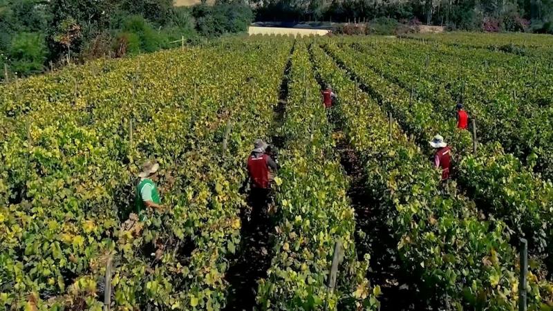Planificación científica es el futuro de la agricultura peruana
