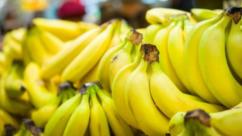 Producción de banana en la Unión Europea descenderá un 16% en 2025