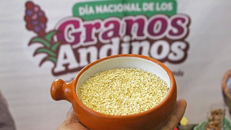 Producción de granos andinos alcanzó alrededor de 144.600 toneladas en 2024