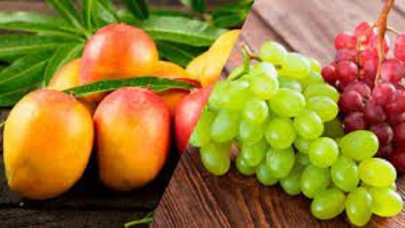 Producción nacional agropecuaria creció +3.8% en el primer bimestre del 2025