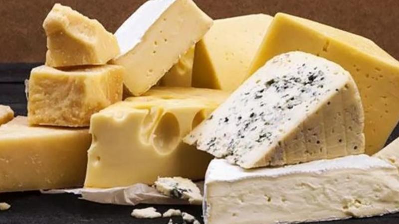 Producción nacional de queso alcanzó las 158.310 toneladas en 2024, mostrando un aumento de 15.55%