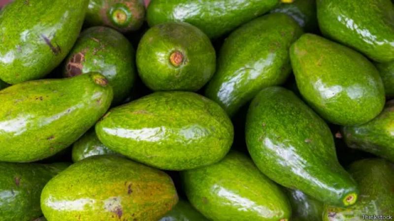 Producción y exportación de palta de México crecerían 3% y 5%, respectivamente