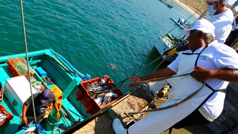 Produce optimiza reglamento de inocuidad para pesca y acuicultura