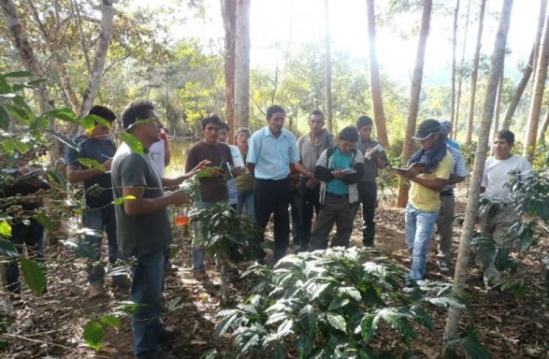 PRODUCTORES CAFETALEROS DEL VALLE DEL MONZÓN REALIZAN PASANTÍA 