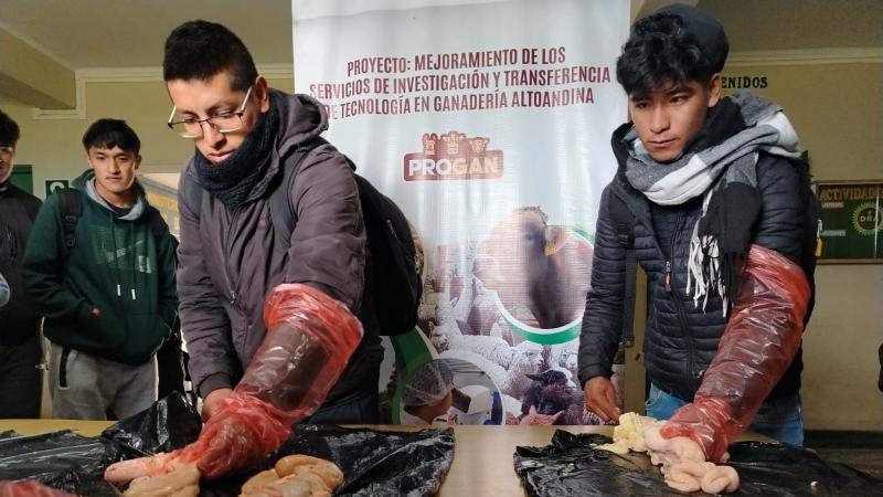 Productores de Junín se capacitan en mejoramiento genético de ganado vacuno