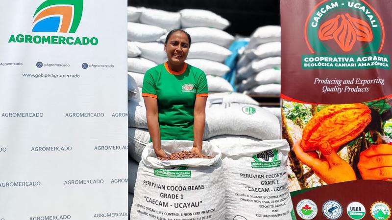 Productores de Ucayali exportan 175 toneladas de cacao a Italia, Países Bajos y Estados Unidos